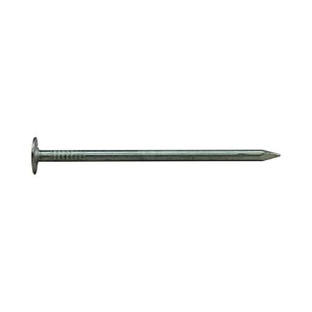 Homestead 1.25 in. 1 lbs EG Roofing Nail HO2741057